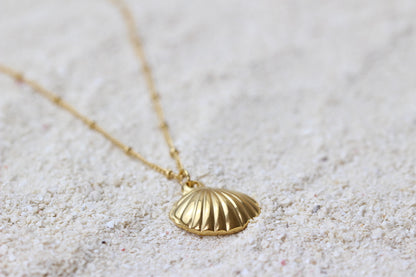 Oceana Big Seashell Kette | 18K vergoldet